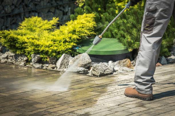 Best Animal Enclosure Cleaning  in Crystal Falls, MI