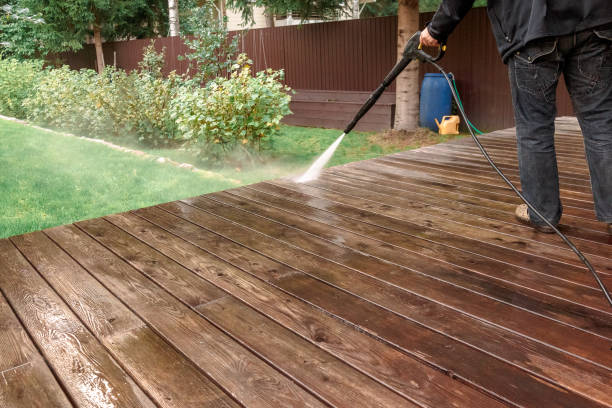 Best Pre-Holiday Cleaning  in Crystal Falls, MI