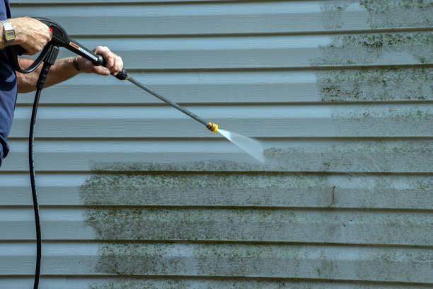 Best Sidewalk and Walkway Cleaning  in Crystal Falls, MI