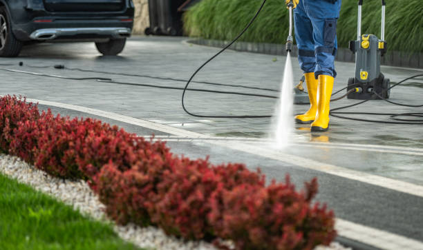 Best Solar Panel Cleaning  in Crystal Falls, MI